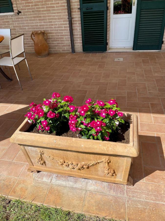 La Posta Di Bacco Apartment Gualdo Cattaneo Luaran gambar